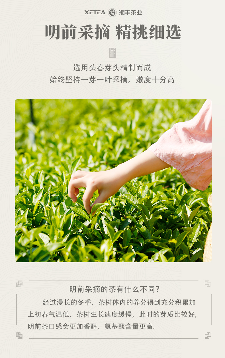 湘波綠_02.jpg