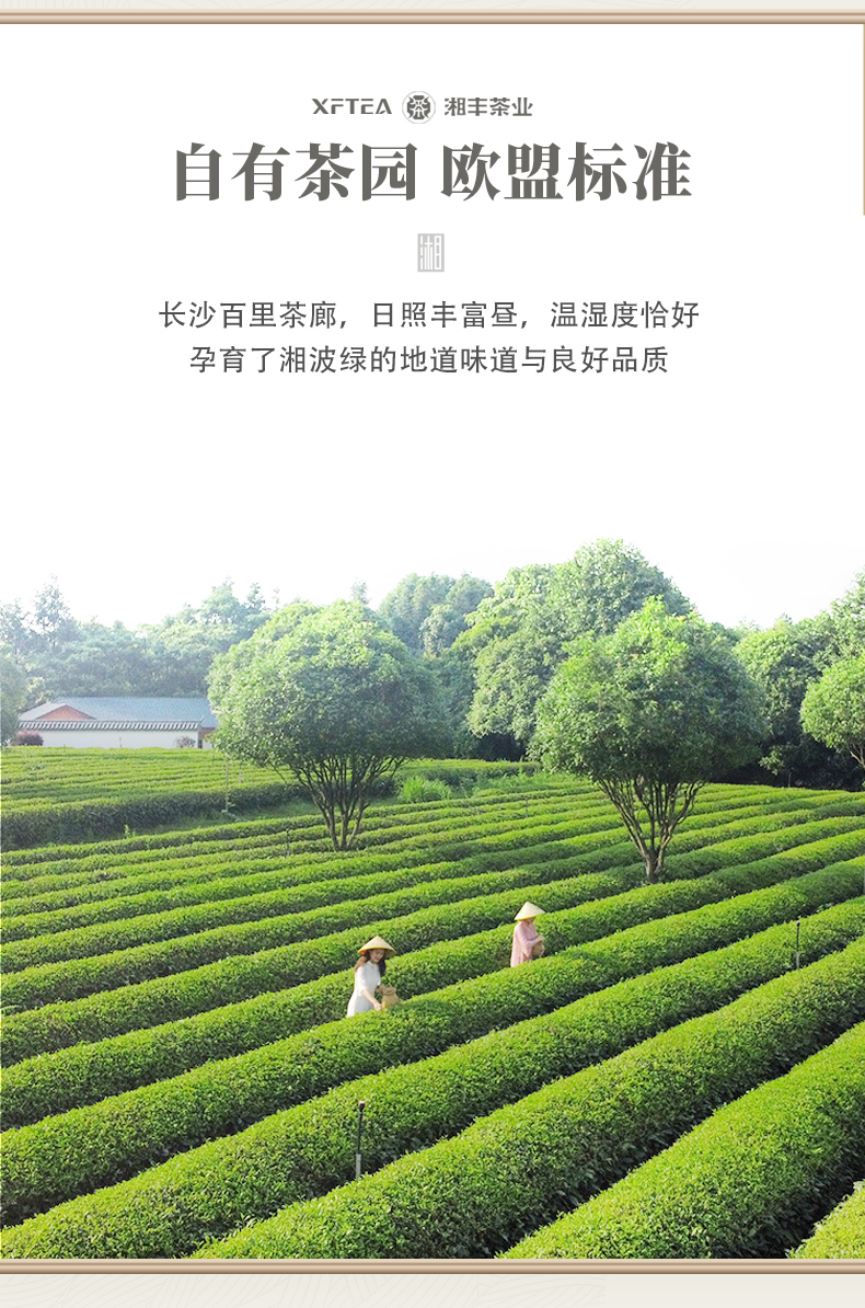 湘波綠_03.jpg