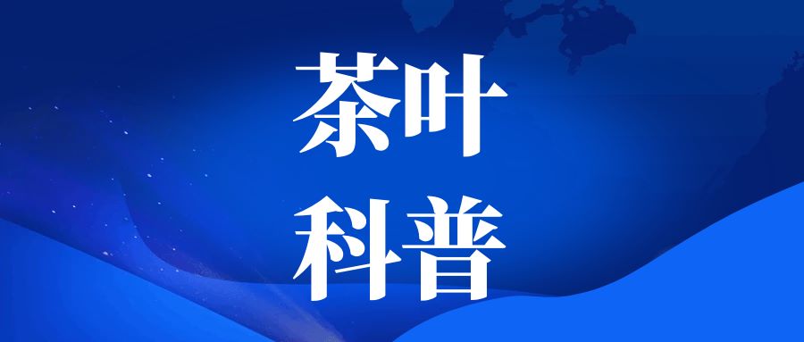 重磅科普 | 喝茶會導致骨質疏松嗎？