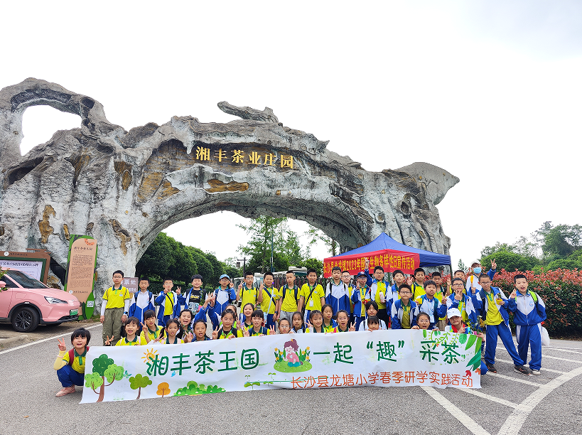 “湘豐茶業(yè)莊園游客持續(xù)暴漲”第九屆茶文化旅游節(jié)后迎來第一波高峰！