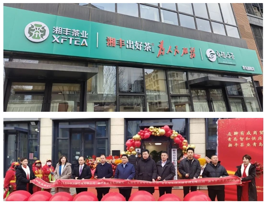 青島旗艦店盛大開業！湘豐茶業集團全國布局再下一城