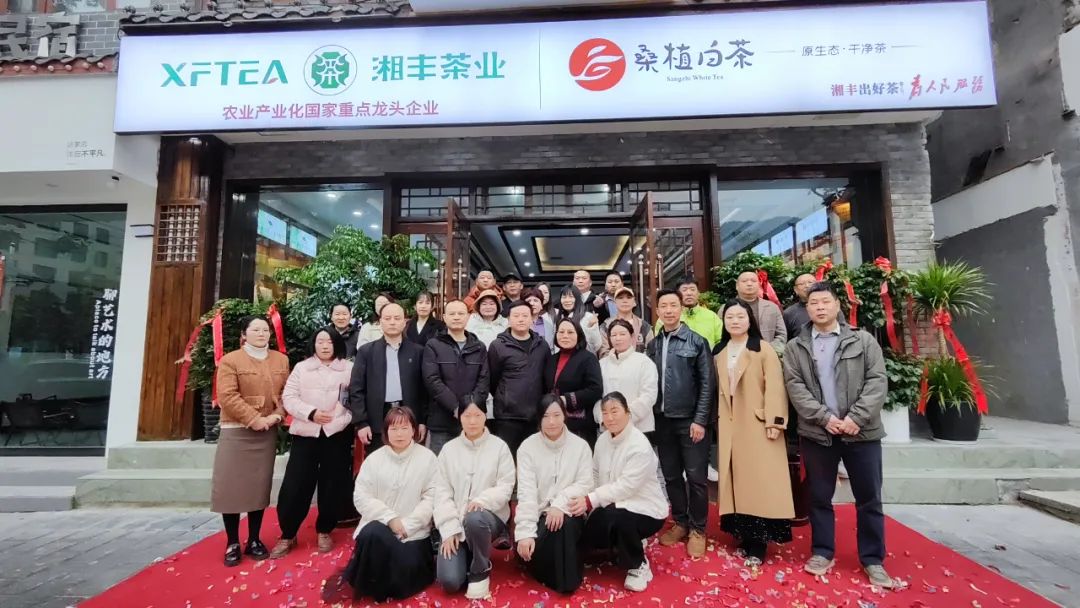 湘豐茶業(yè)·桑植白茶張家界武陵源旗艦店盛大開(kāi)業(yè)！